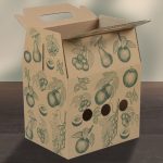 Box_groesse2_mit_Tragegriff_offen