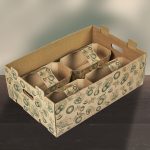 Transportbox_mit4Schalen_